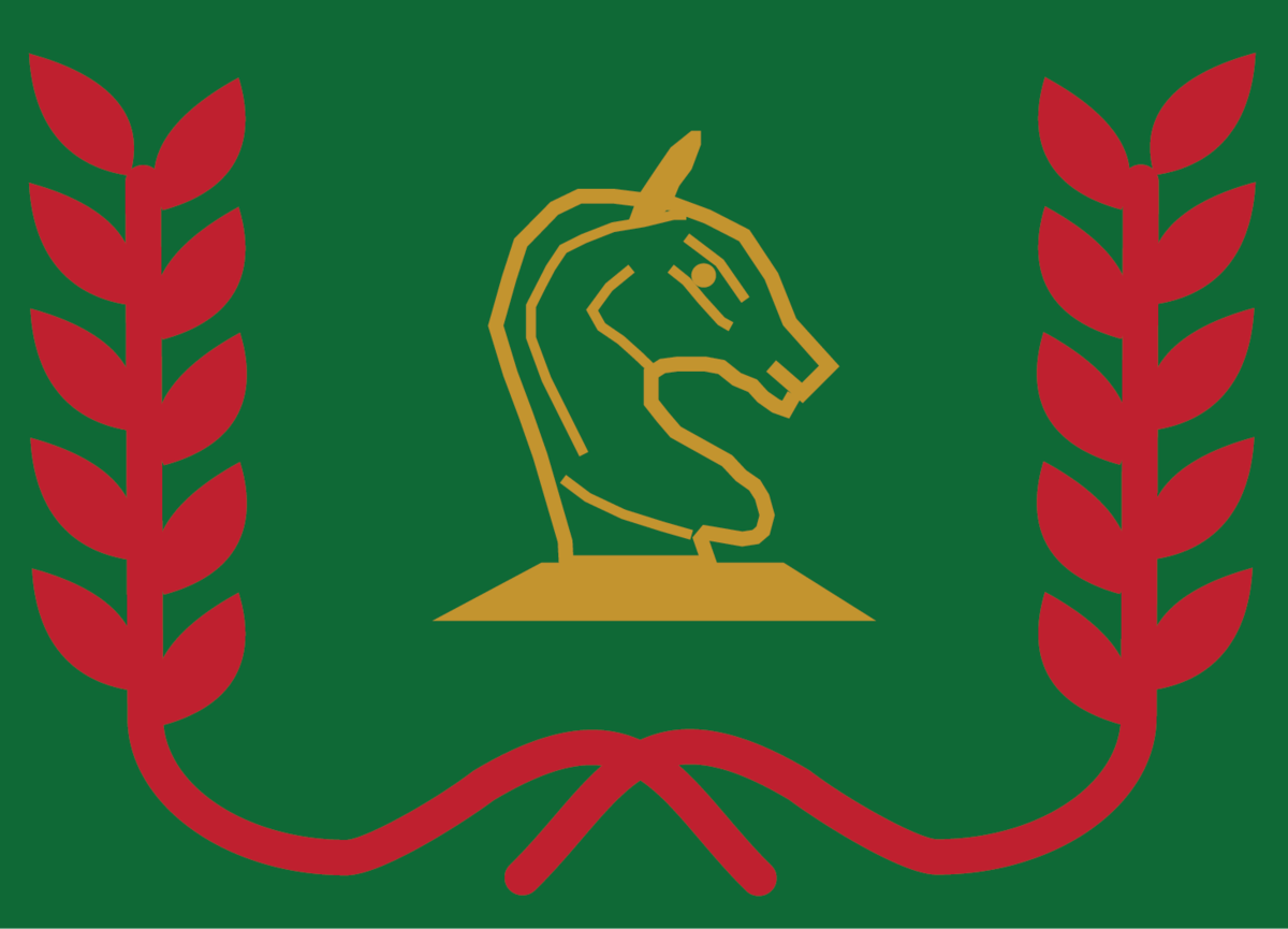 Chess Player Scout Interest Badge - SCOUTS South Africa Wiki